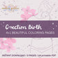 C-Section birth - 4+1 coloring pages
